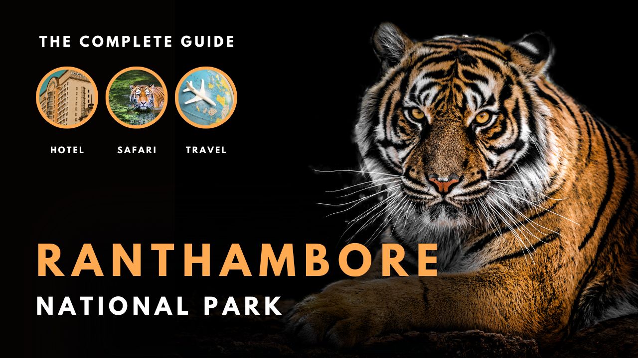 Ranthambore National Park